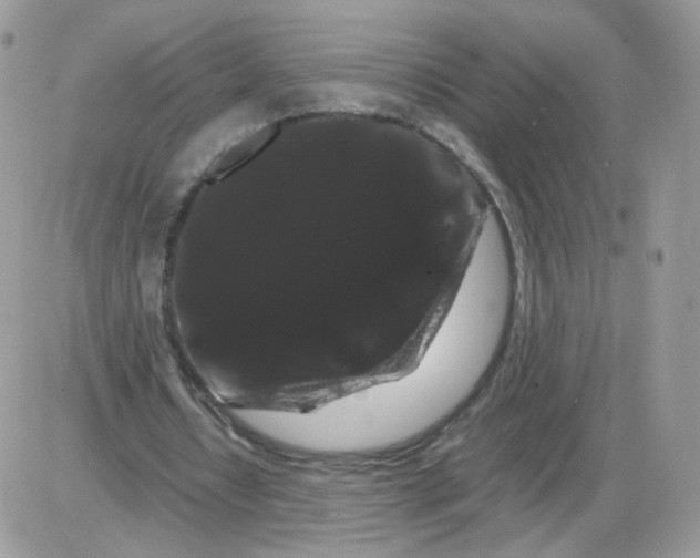 X0000086090434200704202220