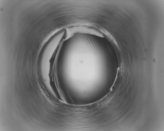 X0000086090436200704202220