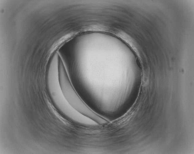 X0000086090437200704202220