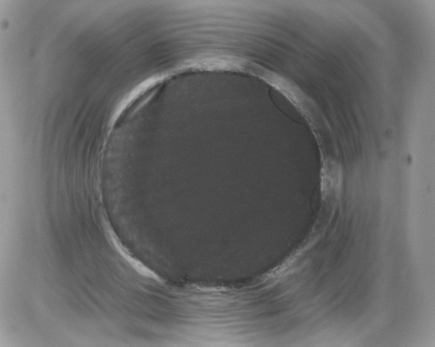 X0000086090438200704202220