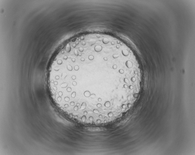 X0000086090439200704202220