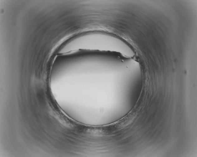 X0000086090440200704202220