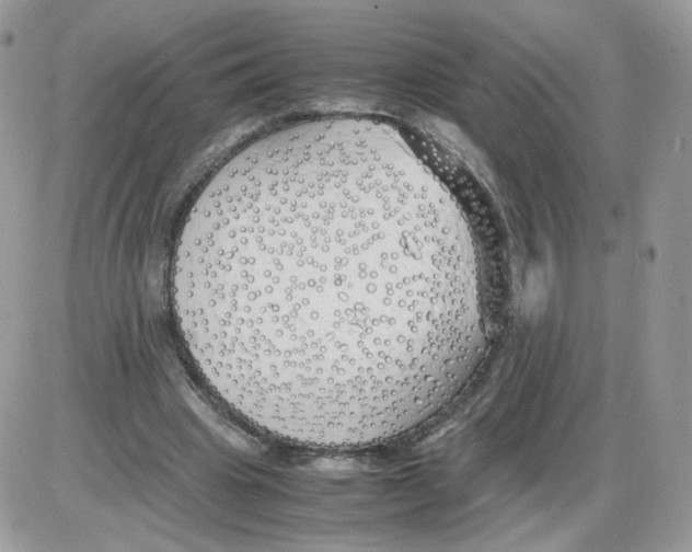 X0000086090441200704202220