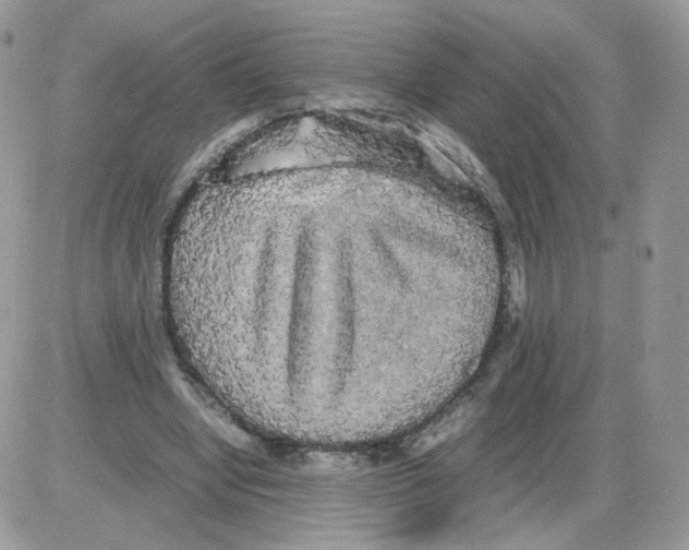 X0000086090442200704202220