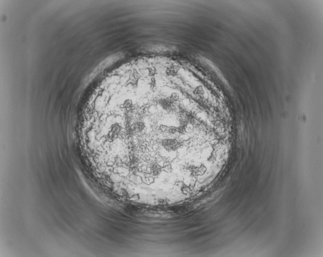 X0000086090443200704202220