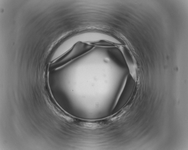 X0000086090444200704202220