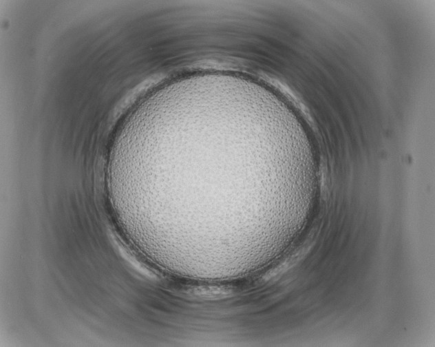 X0000086090445200704202220