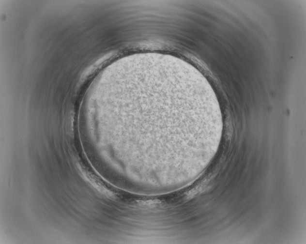 X0000086090446200704202220