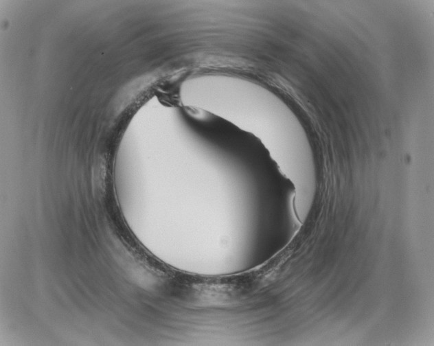 X0000086090448200704202220