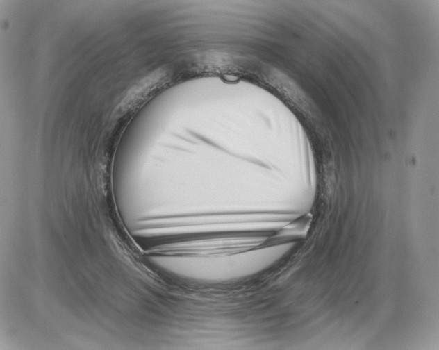 X0000086090450200704202220