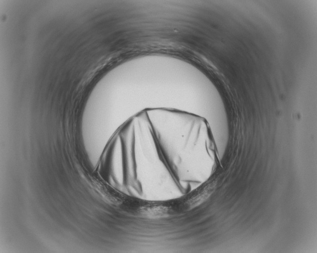 X0000086090452200704202220