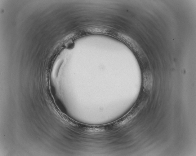 X0000086090453200704202220