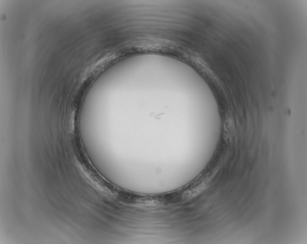 X0000086090454200704202220