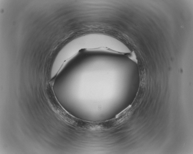 X0000086090456200704202220