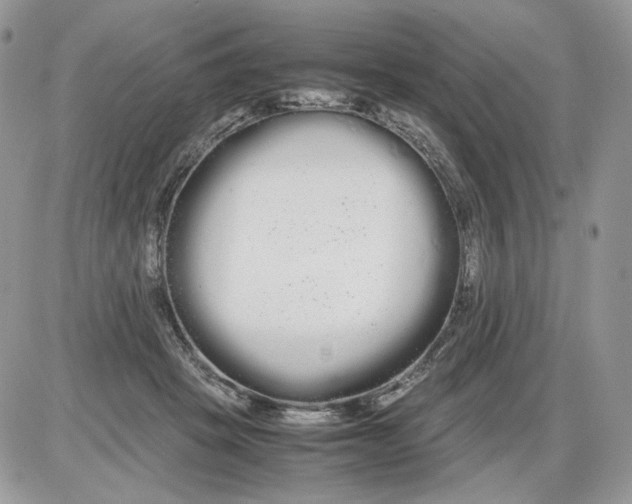 X0000086090457200704202220