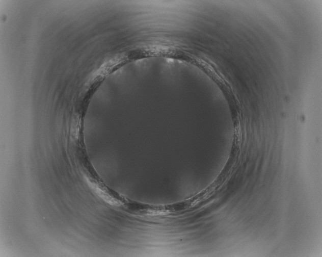 X0000086090458200704202220