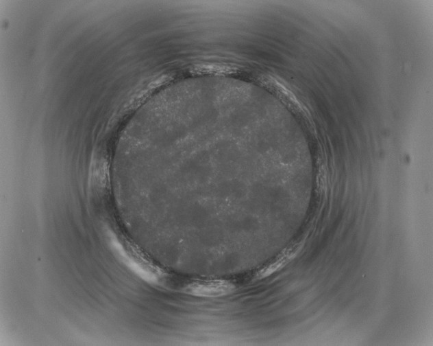 X0000086090459200704202220