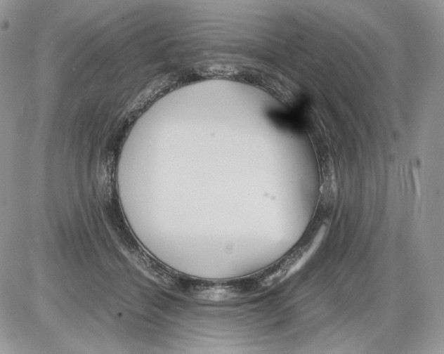 X0000086090460200704202220