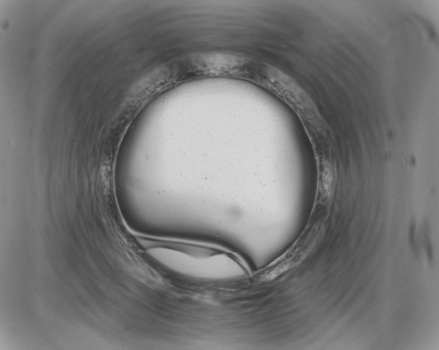 X0000086090461200704202220