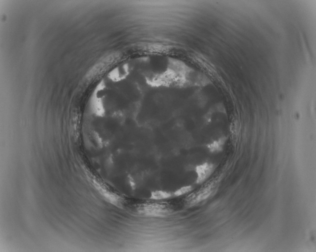 X0000086090462200704202220