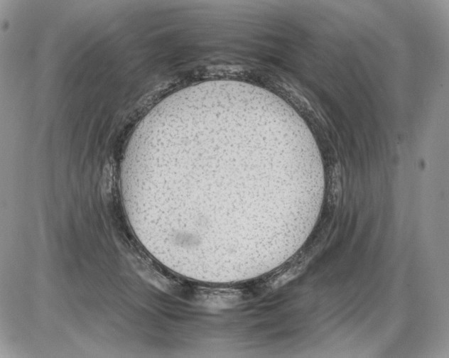 X0000086090463200704202220