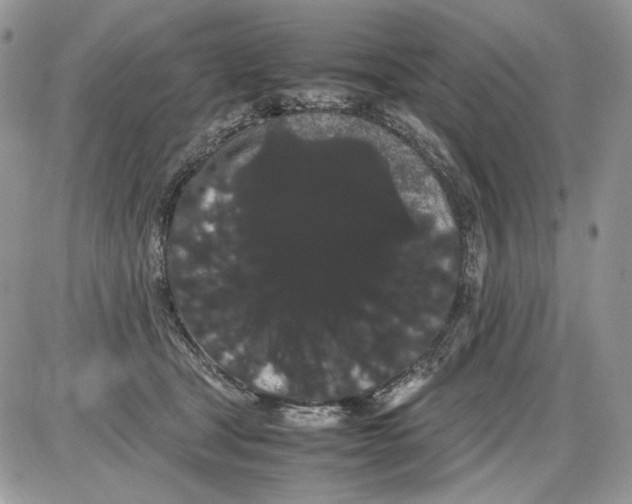 X0000086090465200704202220