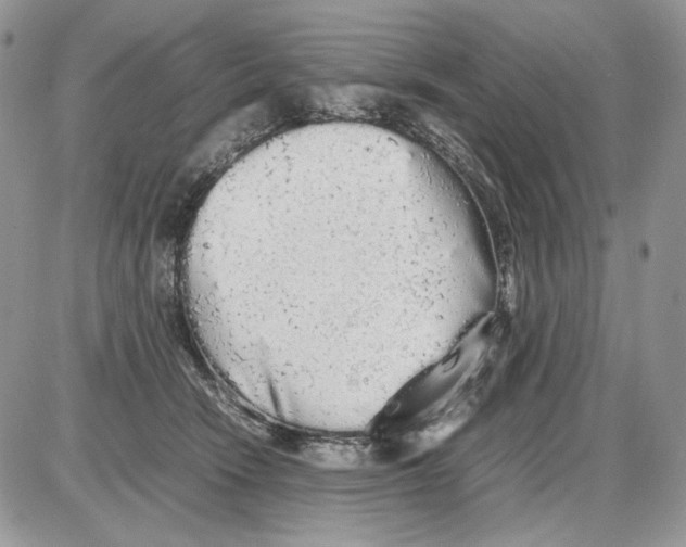 X0000086090466200704202220