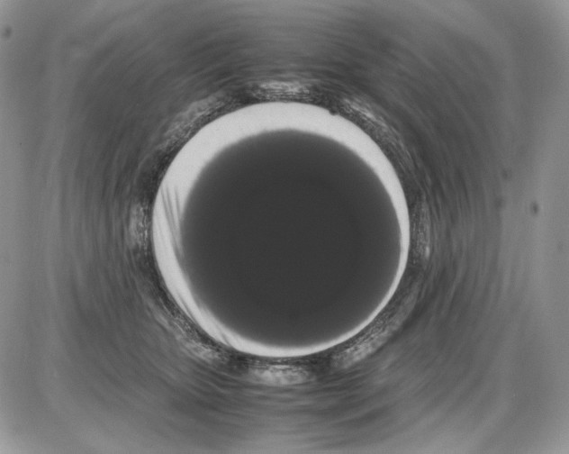 X0000086090467200704202220