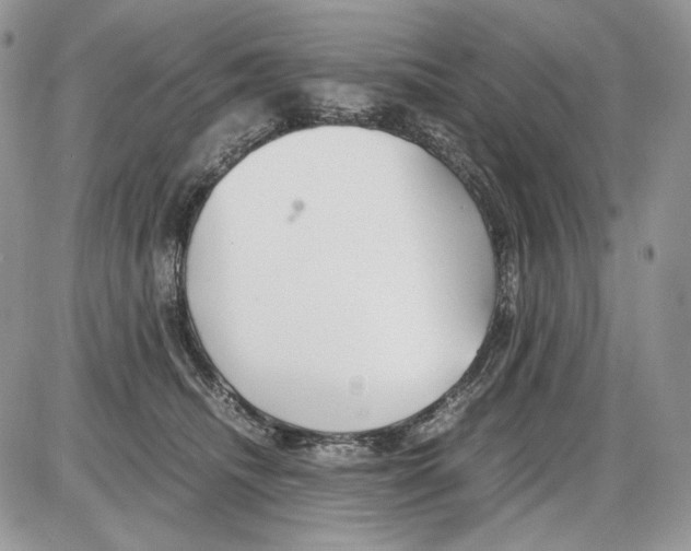 X0000086090468200704202220