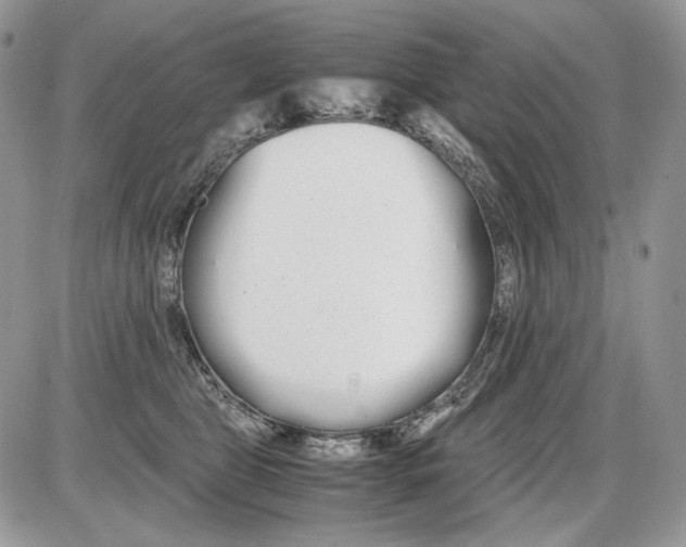 X0000086090469200704202220