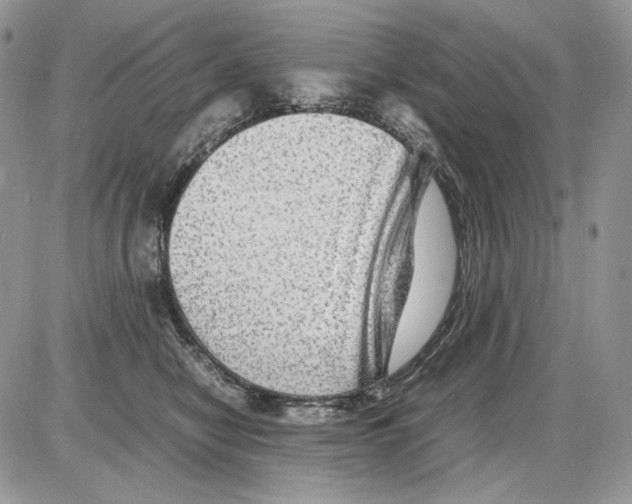 X0000086090470200704202220