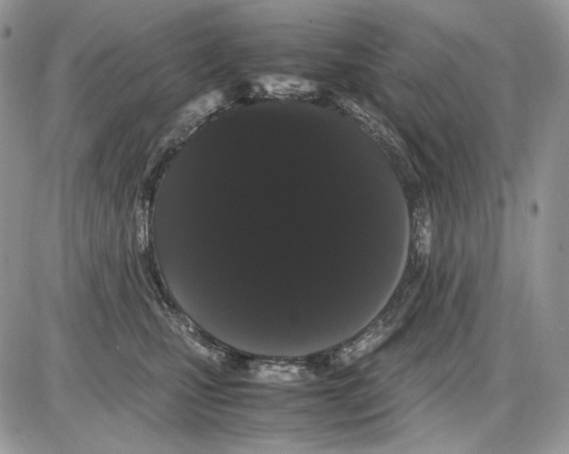 X0000086090471200704202220