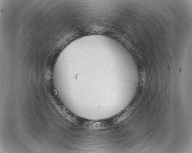 X0000086090472200704202220