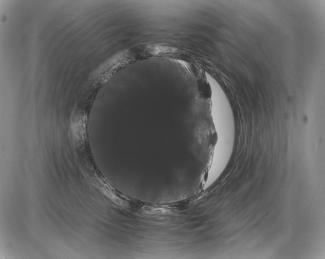 X0000086090475200704202220