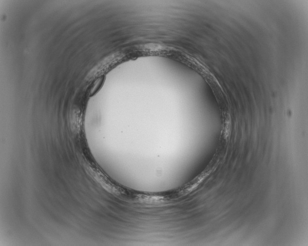 X0000086090476200704202220