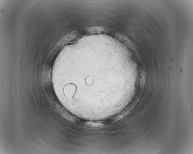 X0000086090477200704202221