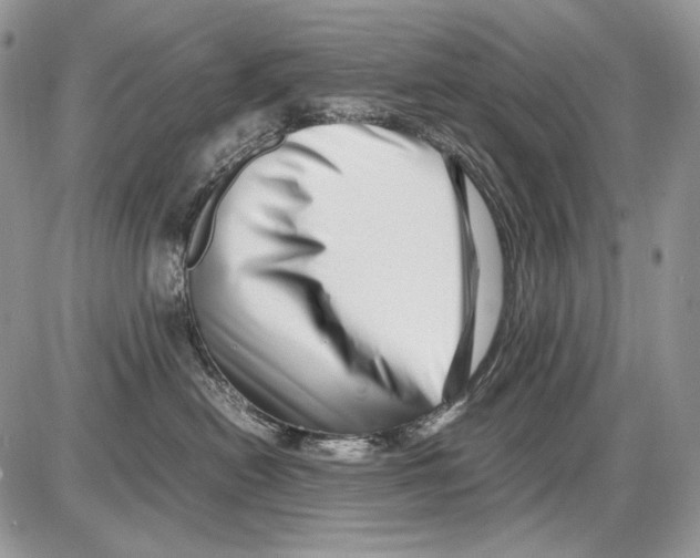 X0000086090478200704202221