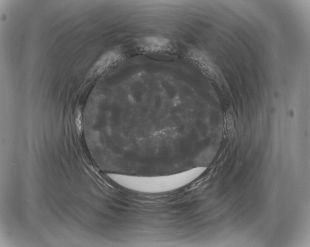 X0000086090479200704202221