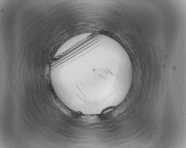 X0000086090480200704202221