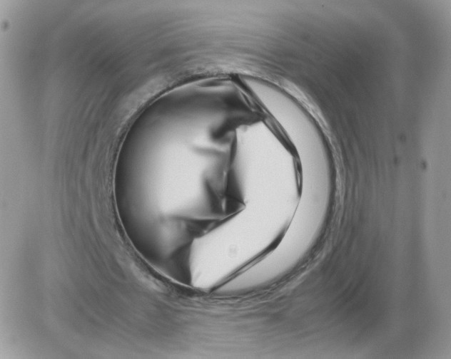 X0000086090481200704202220