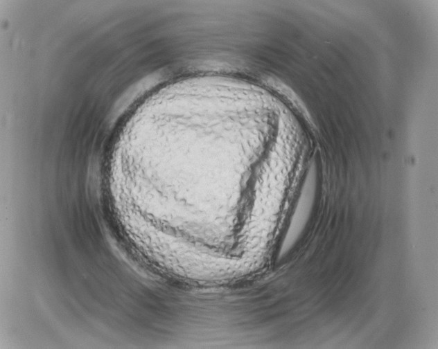 X0000086090482200704202220