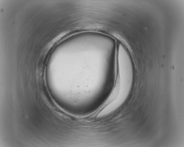 X0000086090483200704202220