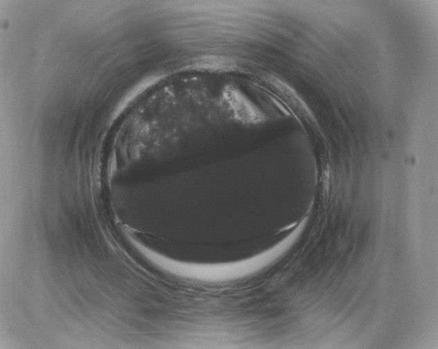 X0000086090484200704202220