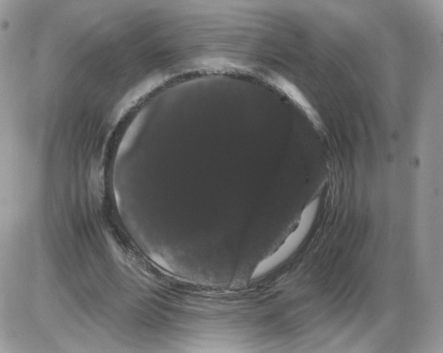 X0000086090488200704202220