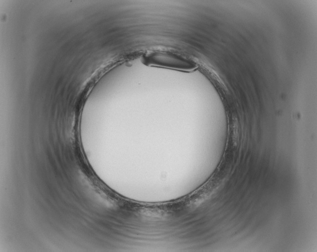 X0000086090490200704202220