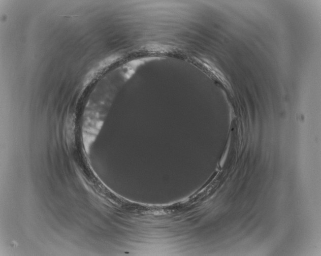 X0000086090492200704202220