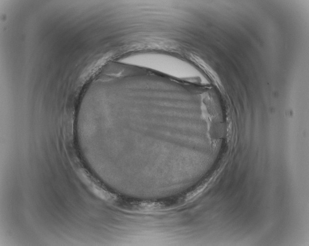 X0000086090493200704202220