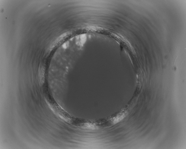 X0000086090496200704202220