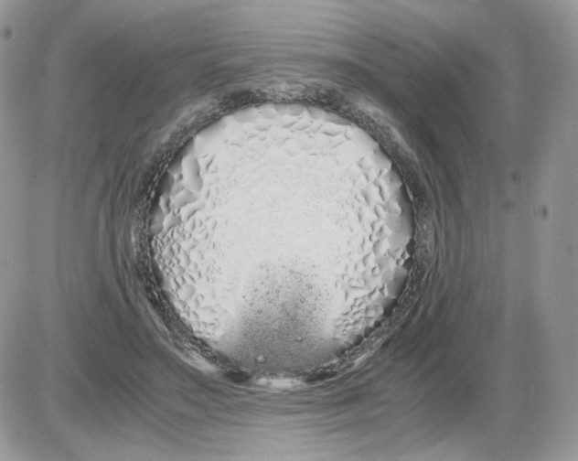 X0000086090499200704202219