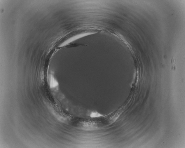 X0000086090500200704202219